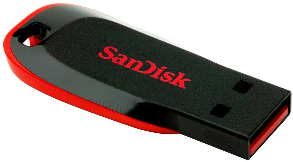 SanDisk Flash Disk
